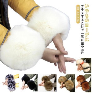 ���r�Z�b�g �t�@�[ �J�t�X �є� �G�R�t�@�[ �r�� �t���� �t�@�[�E�H�[�}�[ �u�[�c�J�o�[ ���b�O�E�H�[�}�[ �������� ���X�g�E�H�[�}�[ �u���X���b�g