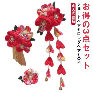 a  U wAANZT[ ܂ݍ׍H 3_Zbg l ܎O ~ E   k Ԃ  Ǝ т  wANbv ߂  qp fB[X {Q