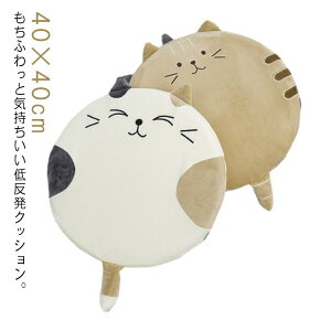 `FANbV zc NbV L lR ֎q tANbV  ᔽNbV 40×40cm ӂ KɂȂȂ ەt Jo[􂦂