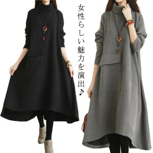 s[X H ~ Os[X  }LVN 40 ^[glbN 傫TCY ̌^Jo[ t fB[X tA AC O㍷  50 nClbN i ʋ 