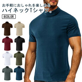 モックネック Tシャツ ゴルフウェア 無地 半袖 カットソー ランニング ハイネック 作業着 トップス スポーツ ティーシャツ カジュアル 夏物 ジム イベント 夏物 メンズ