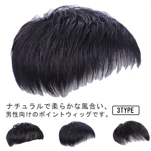 ショート丈 ウィッグ 短い ポイントウィッグ メンズウィッグ 医療用 ブラック 手植え 通気性 トップカバー蒸し暑くない トップカバー 父の日 白髪隠し 脱毛 薄毛 男性用