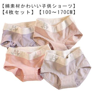  q V[c LbY   ̎q V[c Rbg q w pc  4Zbg w WjA Ci[ R ʋC z q  V[c