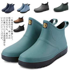 Cu[c Y CV[Y Jp h h JC V[g   Sh JWA ~J΍ 䕗 ނ ʋ ʊw Ɨp AEghA tďH~ hV[Y 2