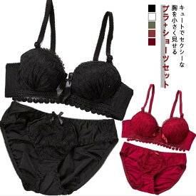 胸を小さく見せるブラ ショーツ 2点セット レース 補正ブラ 谷間 ブラ 小さく見せるブラジャー 脇高 ブラジャー ショーツ 上下セット ショーツセット かわいい レディース インナー 小さく見えるブラ ノンワイヤー ブラジャー&ショーツ 春夏秋冬