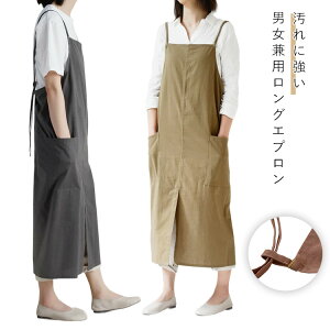 Gv  k et s[X Vv fB[X i` JtF n [NGv t[TCY fB[X ۈmXg 킢 JtF B P[L 