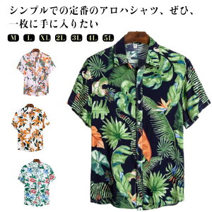 AnVc  jZbNX ][gEGfBO fB[X nCVc Vc AnVc ԕ vg  JWA ][g r[` Jbv Y p[eB[ w