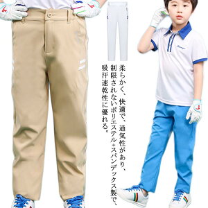 StEFA qpStpc Opc t  StEFA LbYX|[cpc ̎q j̎q Stp pc Xgb` ʋC Lk WjA 