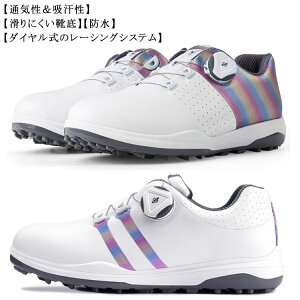 StV[Y Y fB[X C XpCNX _C h  \tgXpCN ʋC V[Y  C{[ Stp 傫TCY StV[Y p