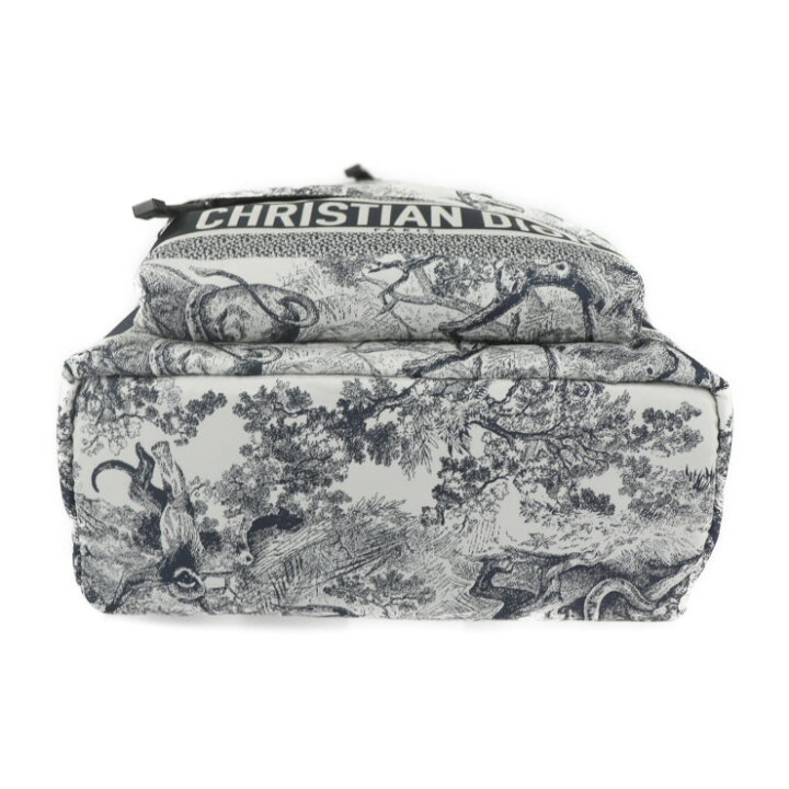 楽天市場】超美品 Dior ディオール DIORTRAVEL スモールバックパック 