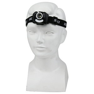 SK11 ���d�r��LED�w�b�h���C�g SLH-009