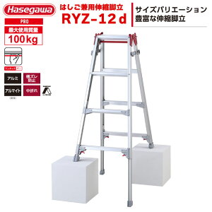 iNEWjnZK rLk ͂pr RYZ-12d 4i4 ^b`o[ nZK JH hasegawawa