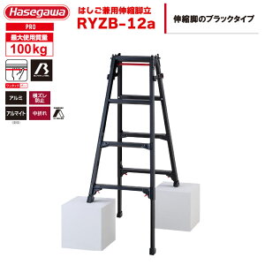 iNEWjnZK BLACK LABEL ubN[x rLk ͂pr RYZB-12a i44ij