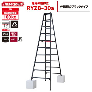 iNEWj(ꕔnz萻i) nZK BLACK LABEL ubN[x rLk pr RYZB-30ai1010ij