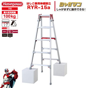 iNEWjr Lk 㕔 uVK}v ͂pr RYR-15a 5i5 ^b`o[ nZK JH hasegawa