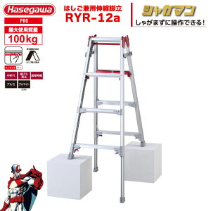 iNEWjr Lk 㕔 uVK}v ͂pr RYR-12a 4i4 ^b`o[ nZK JH hasegawa