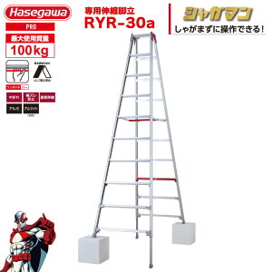 �iNEW�j�r�� �L�k �㕔���� �u�V���K�}���v ��p�r�� RYR-30a 10�i10�� �����^�b�`�o�[ �n�Z�K�� ���J��H�� hasegawa