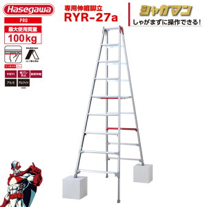 iNEWjr Lk 㕔 uVK}v pr RYR-27a 9i9 ^b`o[ nZK JH hasegawa