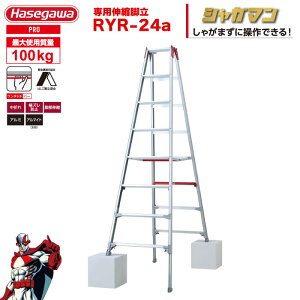 iNEWjr Lk 㕔 uVK}v pr RYR-24a 8i8 ^b`o[ nZK JH hasegawa