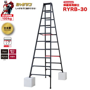 �iNEW�j�r�� �L�k �㕔���� �u�V���K�}���u���b�N�v �L�k��p�r�� RYRB-30 �i10�i10�ځj �n�Z�K�� ���J��H�� hasegawa