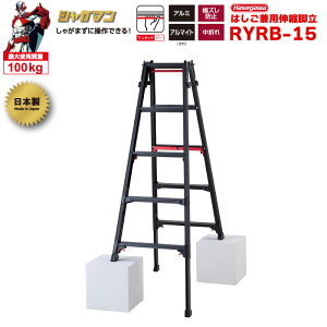 iNEWjr Lk 㕔 uVK}ubNv ͂pr RYRB-15 i5i5ځj nZK JH hasegawa