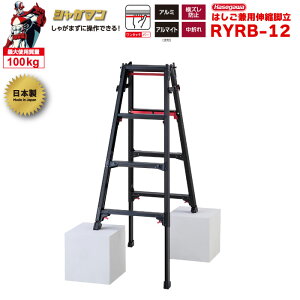 iNEWjr Lk 㕔 uVK}ubNv ͂pr RYRB-12 4i4 nZK JH hasegawa