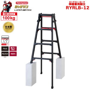 iNEWjr OXg[NLk 㕔 uVK}ubNv Lkpr RYRLB-12 i4i4ځj nZK JH hasegawa