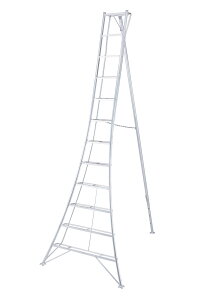 (ꕔnz萻i) nZK |Orr O[Xebv(12) GSC-360a