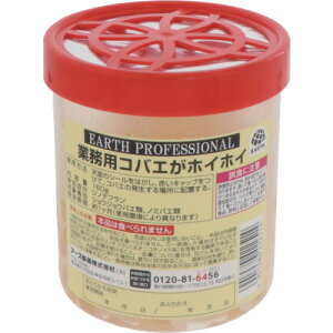 A[X ƖpRoGzCzC (1) iԁF422514