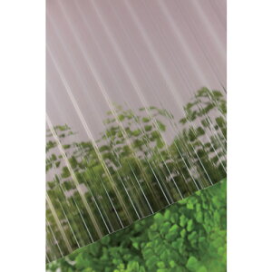 ^L |Jg 32g 7 810uY (1) iԁF217781