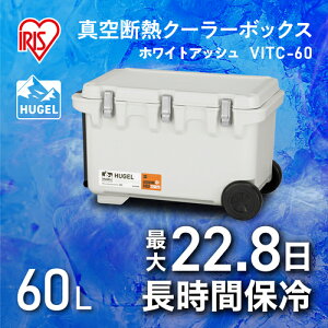 ACXI[} 201282 HUGEL ^fMN[[{bNX zCgAbV (1) iԁFVITC60WH
