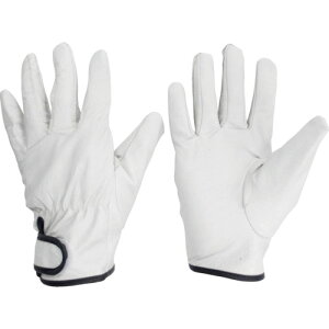 ~hS Ǝ ؖ{v܁iȁj M (1o) iԁFMRK-221-M