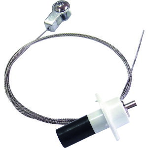 jbT`FC fBXvCp[c (1Pk) iԁFY-301