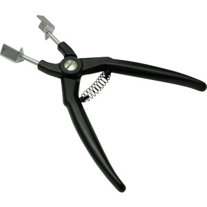 AXgv_Nc [vC[ (1) iԁF2007000011546