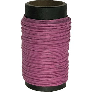 _Ch[ng a킢[ i҂񂭁j0.5mm×10mi1j (1) iԁF10155377