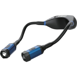 EXHEART 񌳃Cg [dLEDcClbNCg 300[ (1) iԁFEXL-NK300