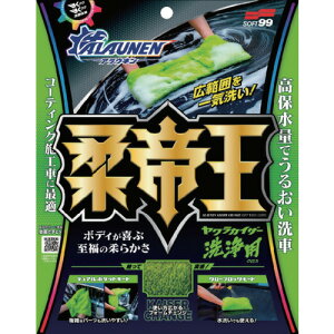 \tg99 SOFT99 ALAUNEN JCU[ pNX (1) iԁF02902