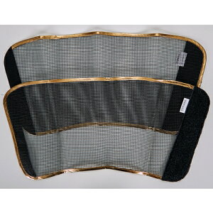 gXR TRUSCO rJ bV iS[hCjLLTCY (1g) iԁFTKMG-LL