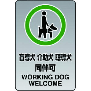 jbg SW XebJ[ij ӓc (1) iԁF807-55