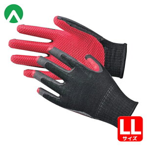 Ag Ǝ ׂ~ߎ S Ko[X LL (1o) iԁF157-LL