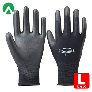 Ag Ɨp P~\tgƖpubN (1o) iԁF1551L E^w ̂ЂR[g^Cv