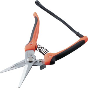 THREEAXIS ���\�n�T�~���� GIZAMI �b�� (1��) �i�ԁF04002