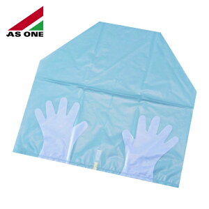 �A�Y���� AS �O���[�u�p�b�N10���� GB�|10 (1��) �i�ԁF3-118-11