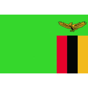  W No.1i70×105cmj UrA (1) iԁF416304