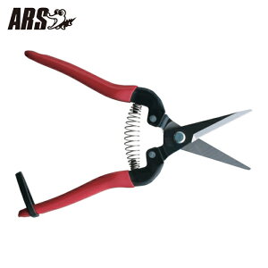 �A���X ARS �E����L (1��) �i�ԁF300L