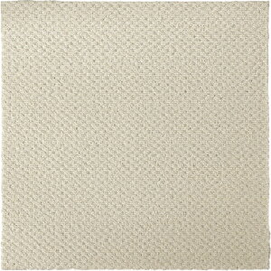 �哇�� ������ �x�e���Ȃǂ� �z���^�C���J�[�y�b�g 40×40cm �A�C�{���[ (1��) �i�ԁF4911