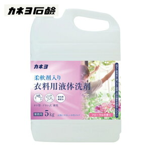 �J�l�� ������ �J�l���_��ܓ���ߗ��p���5kg (1��) �i�ԁF304099-B