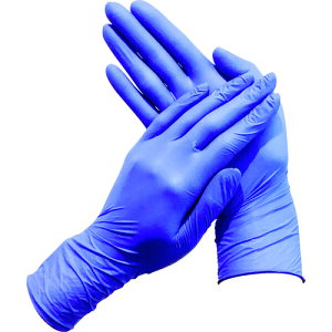 NVA Ǝ ĝĎ veNK[h Cu[ jgO[u MTCY 250 (1) iԁF69335