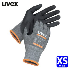 UVEX �ϐؑn��� �A�X���e�B�b�N D5 XP XS (1�o) 6003066