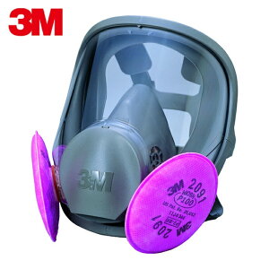 3M �X���[�G�� ��֎��h����}�X�N 6000F/2091-RL3 M�T�C�Y (1��) �i�ԁF6000F/2091-RL3M